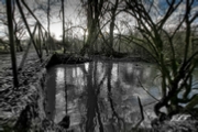 Paysage Img 005.jpg