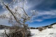 Paysage Img 003.jpg