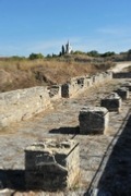 Paysage Img 001.jpg