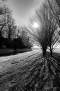 paysage Ima 006.jpg