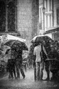 Rue Img 005.jpg